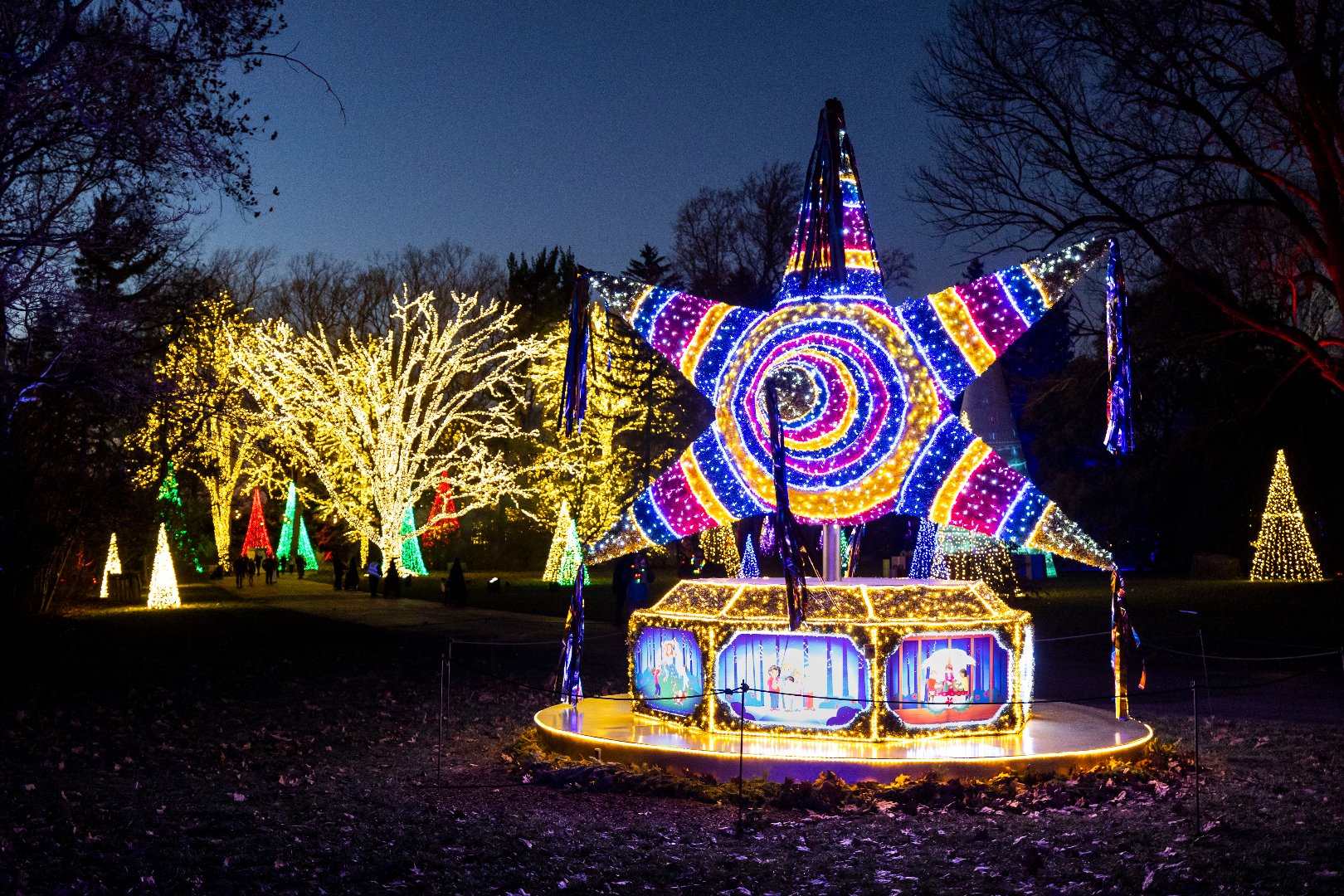 Winterlights Big Pinata 4.jpg