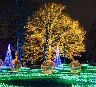 An Insider's Guide to Winterlights :: Newfields